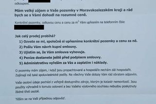 „Vykupují podíly a terorizují spolumajitele i sousedy.“ Do Česka se vrací mafiánské praktiky